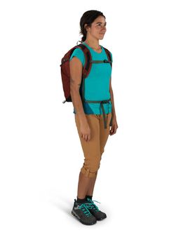 OSPREY rucsac pentru drumeții SPORTLITE 20,  acorn/bonsai