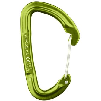 Salewa Carabiner Hot G3 verde