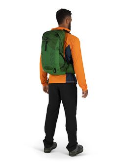 OSPREY rucsac pentru drumeții TALON 22,  green belt/black