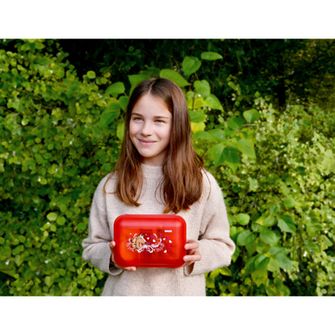 SIGG Cutie de prânz pentru copii cu model de cal