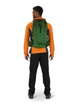 OSPREY rucsac pentru drumeții TALON 22,  green belt/black