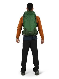 OSPREY rucsac pentru drumeții STRATOS 24,  seaweed/matcha green