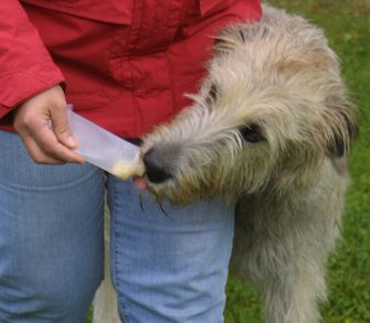 Origin Outdoors Tub de presare Tub de presare Hrană de antrenament reîncărcabilă pentru câini, 2 buc 200 ml