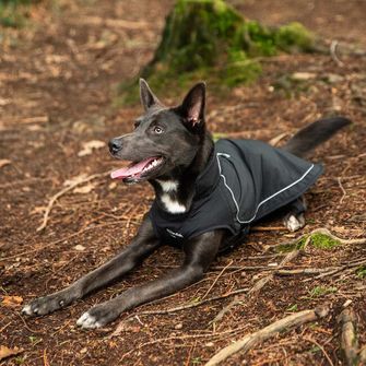 Mountain Paws Câine pelerină mică