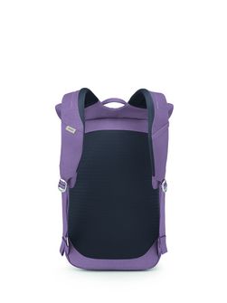 OSPREY rucsac de oraș ARCANE ROLL TOP PACK,  purple dusk heather