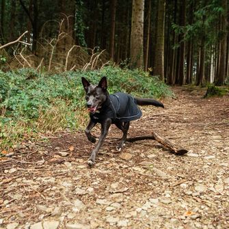 Mountain Paws Câine pelerină mică