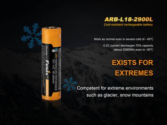 Rezistentă la îngheț Fenix 18650 2900 mAh Li-Ion